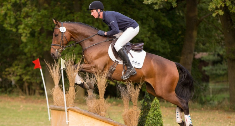 Double Perfect - polski koń jednym z najdroższych koni Aukcji Top Eventers 2014