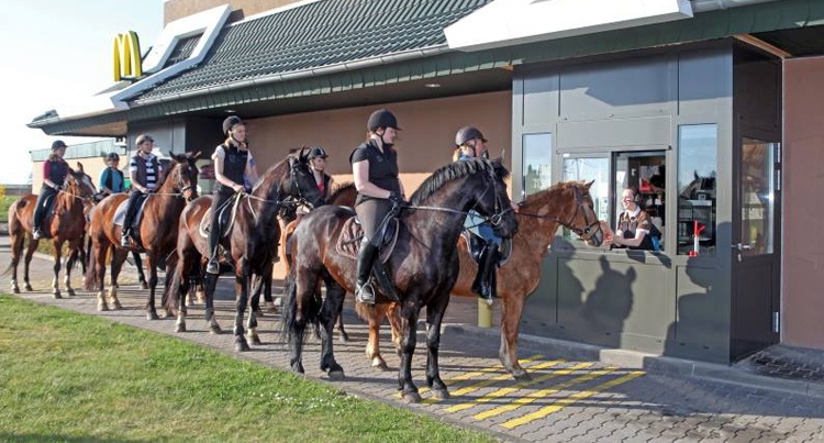 McDonald's for horse riders main 