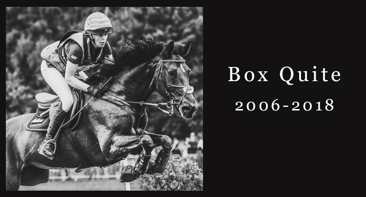 In memoriam: Box Quite