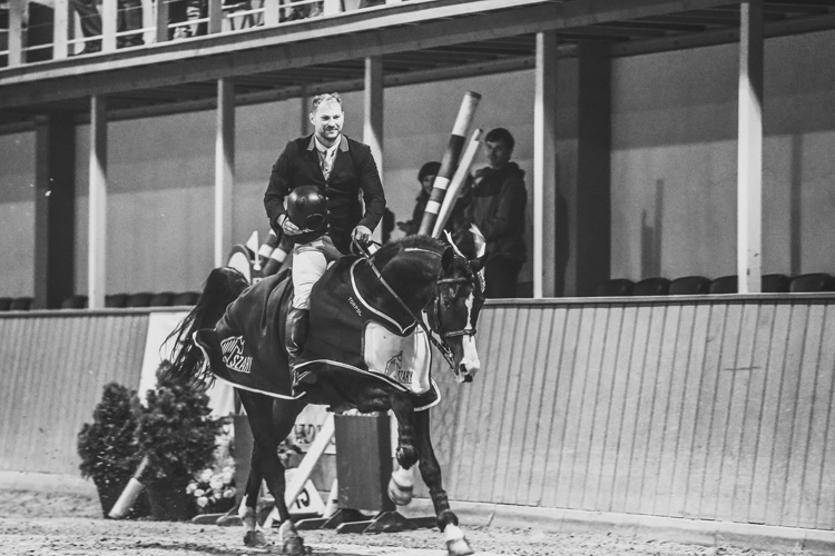 Cracovia Szary Equestrian Tour 2016 Marek Klus & Carison (Campbel x Graf)