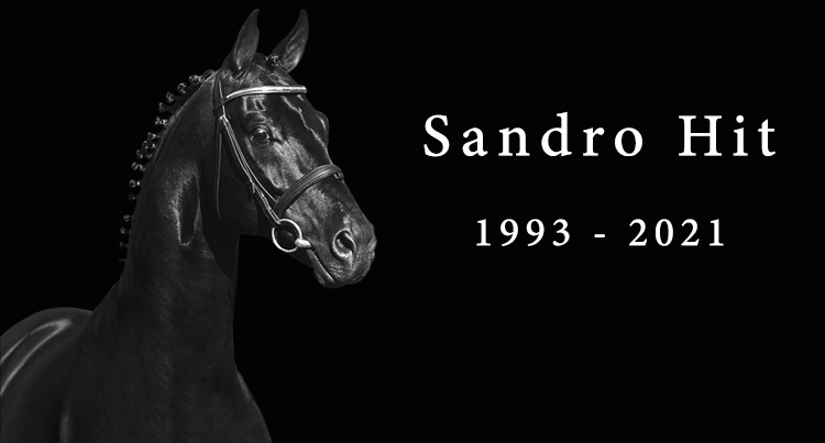 In memoriam: Sandro Hit, fot. www.helgstranddressage.com