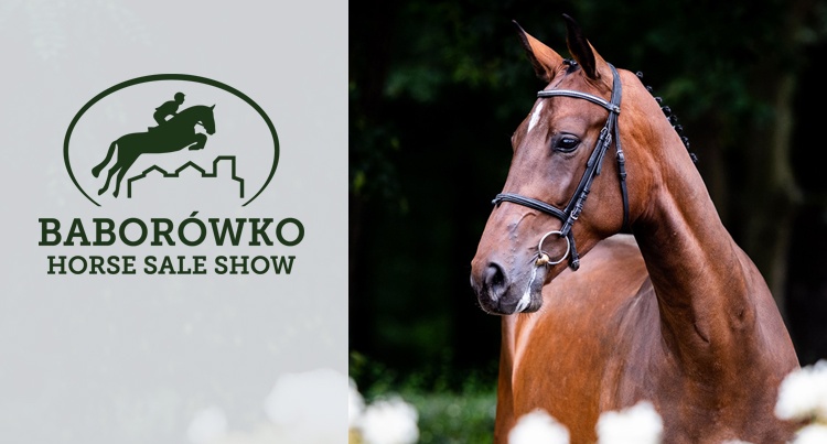 Baborówko Horse Sale Show 2019: Katalog koni aukcyjnych
