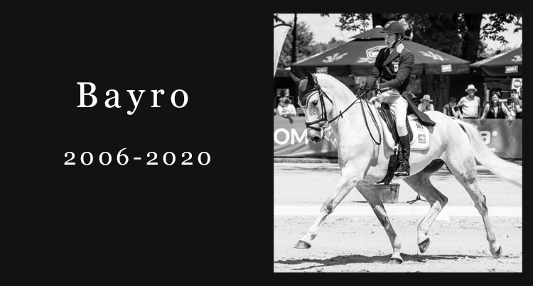 In memoriam: Bayro (Casantos x Corland), fot. Leszek Wójcik/LOTTO Strzegom Horse Trials