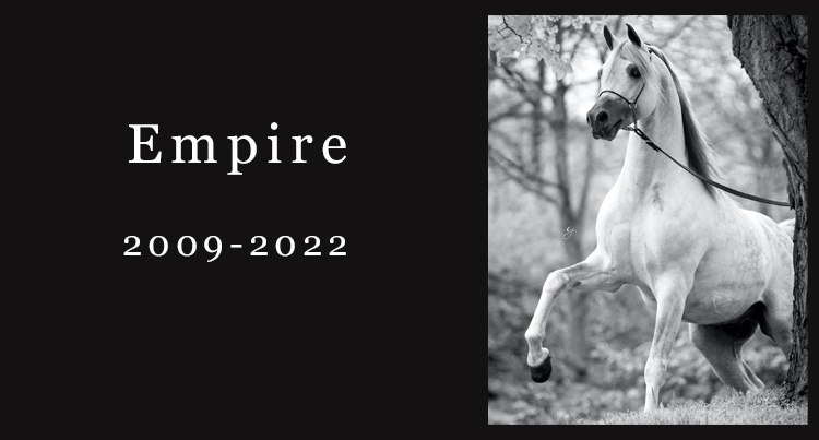 In memoriam: Empire, fot. Glenn Jacobs Photography