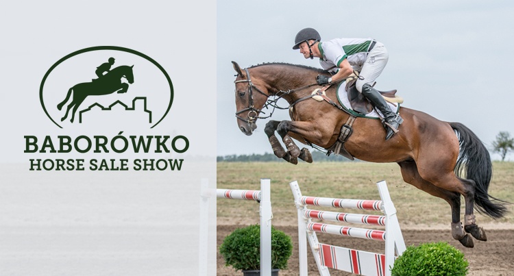 Baborówko Horse Sale Show 2018: Katalog koni