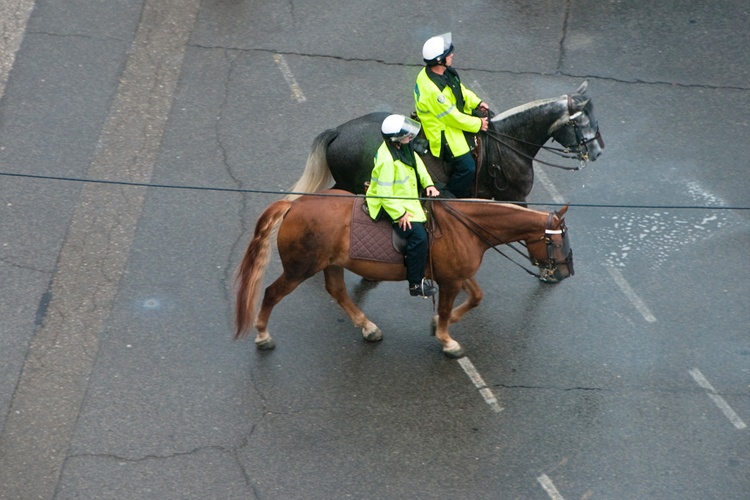 Koń i jeździec w ruchu drogowym , equista.pl, przepisy ruchu drogowego, odblaski, znaki drogowe, koń na drodze