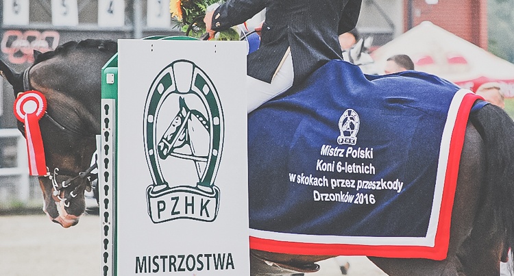 MPMK B 2016 fot. Sonia Szczęsna