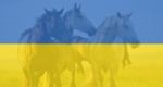 Powołanie Fundacji Charytatywnej Ukraińskiej Federacji Jeździeckiej