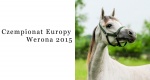 Kolejne sukcesy polskich koni arabskich - Czempionat Europy 2015, Werona