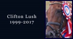 In memoriam: Clifton Lush