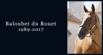 In memoriam: Baloubet du Rouet 
