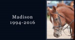 In memoriam: Madison