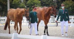 Igrzyska Olimpijskie 2020 Tokio: Konie Polaków już po przeglądzie weterynaryjnym