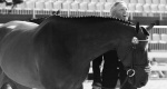IO Rio 2016: Konie startujące w WKKW już po przeglądzie weterynaryjnym!