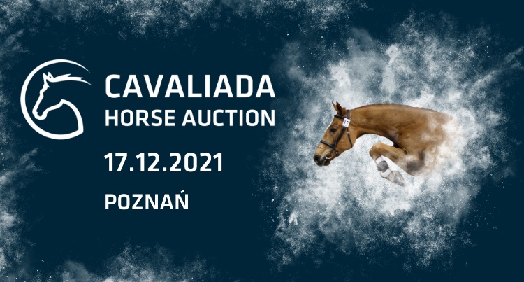 Cavaliada Horse Auction Poznań 2021 – plakat, fot. mat. prasowe