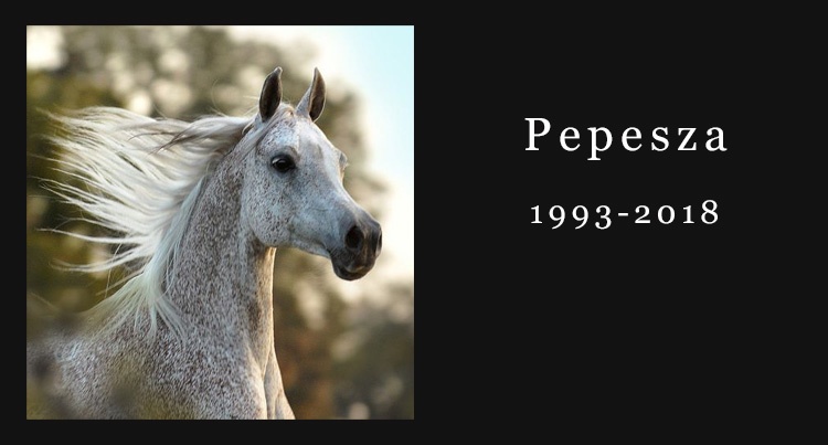 In memoriam: Pepesza