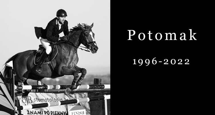 In memoriam: Potomak, fot Dava Palej 