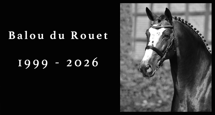 Balou du Rouet (Baloubet du Rouet x Continue), fot www.schockemoehle.com