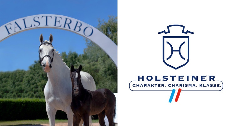  Foal Auction Falsterbo 2022, fot Holsteiner Verband
