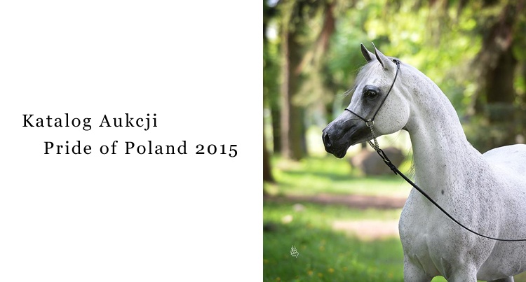 Katalog Aukcji Pride of Poland 2015