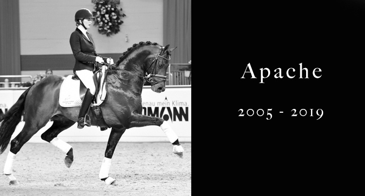 In memoriam: Apache 