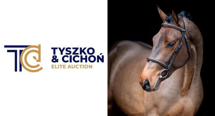 Logo Tyszko & Cichoń Elite Auction i Rex VD Bisschop (Di Cantero Van Ter Hulst Z x Nabab de Reve), fot. TC Auction