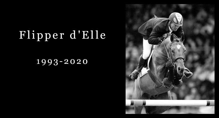 In memoriam: Flipper d'Elle, fot. www.newnormandyfarm.com