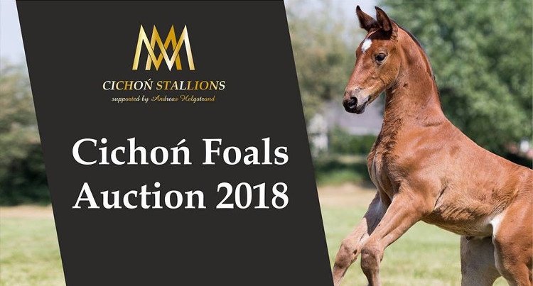 Cichoń Foals Auction 2018: Katalog aukcyjny