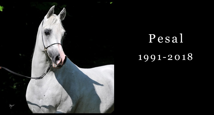 In memoriam: Pesal