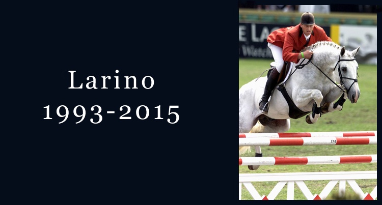 In memoriam Larino