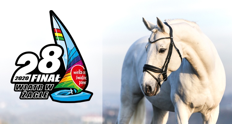 WOŚP 2020 – najciekawsze aukcje charytatywne dla miłośników koni!
