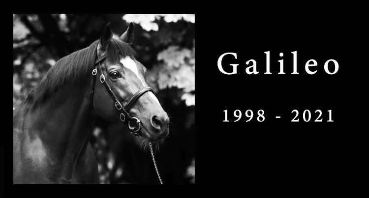 In memoriam: Galileo, fot. coolmore.com