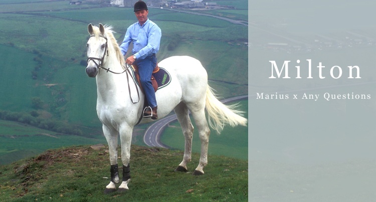 Niezwykłe konie: Milton (Marius x Any Questions)