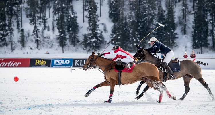 Snow Polo St Moritz 2018 fot. Oliwia Chmielewska 