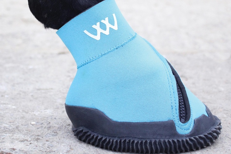 buty dla koni