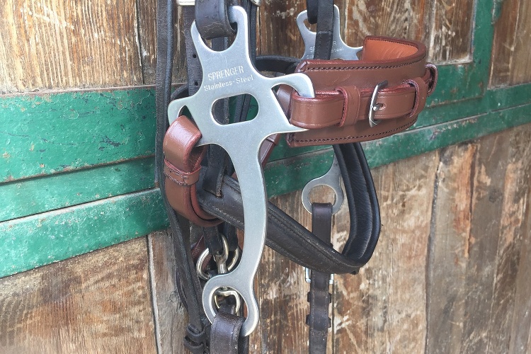 hackamore