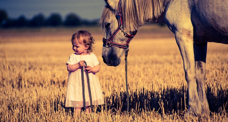 Koń i dziecko, fot. pixabay.com
