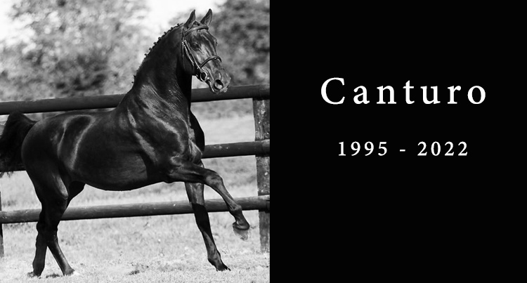 In memoriam: Canturo, fot. www.boismargot.com