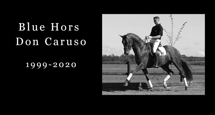 In memoriam: Blue Hors Don Caruso 
