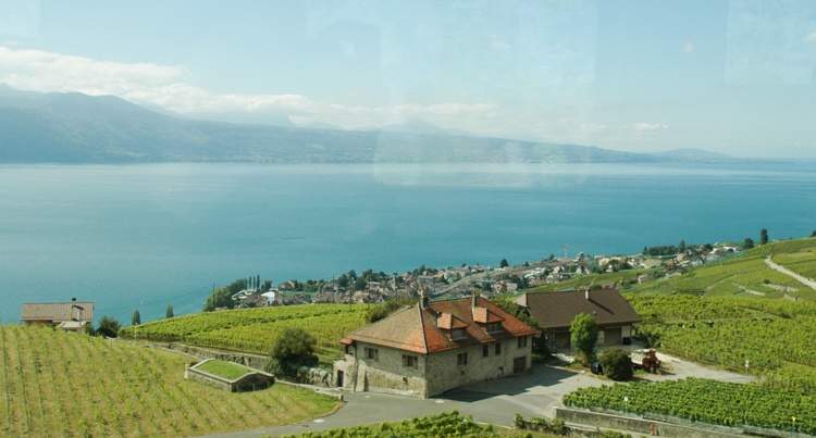 Widok z okna pociągu: Jezioro Genewskie