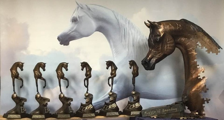 Nagrody przewidziane w Europejskim Czempionacie Koni Arabskich, fot. European Championship for Arabian Horses/Facebook