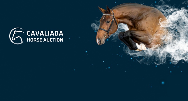 Cavaliada Horse Auction 2024