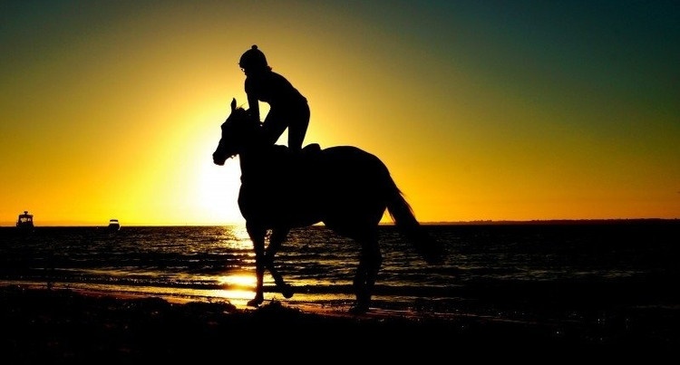 Jeździec na koniu, fot. foter.com