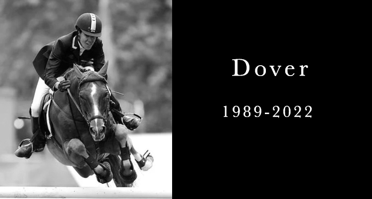 In memoriam: Dover, fot. www.luciana-diniz.com