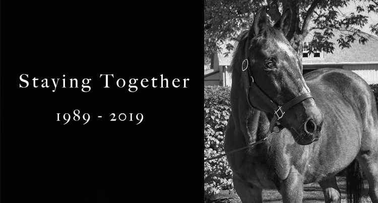 In memoriam: Staying Together (Panorama x Armbro Alert)