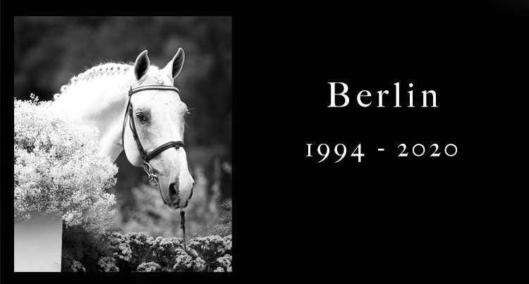 In memoriam: Berlin, fot. www.elitestallions.pl