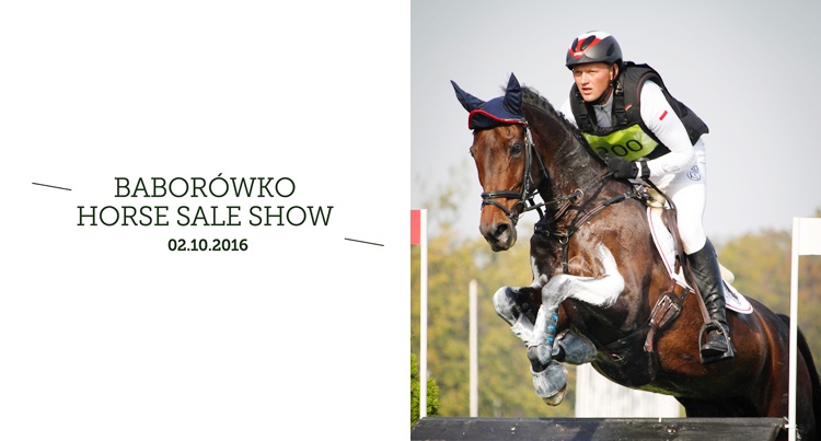 Baborówko Sale Show 2016 main