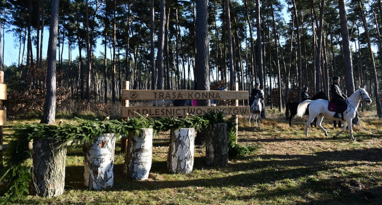Nowy szlak konny na Ponidziu, fot. Regionalna Dyrekcja Lasów Państwowych w Radomiu/Facebook
