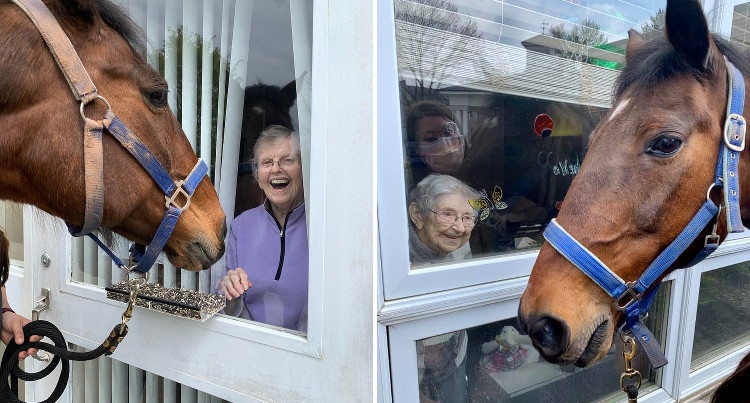 Konie z wizytą u seniorów poddanych izolacji, fot. The Middletown Home/Facebook
