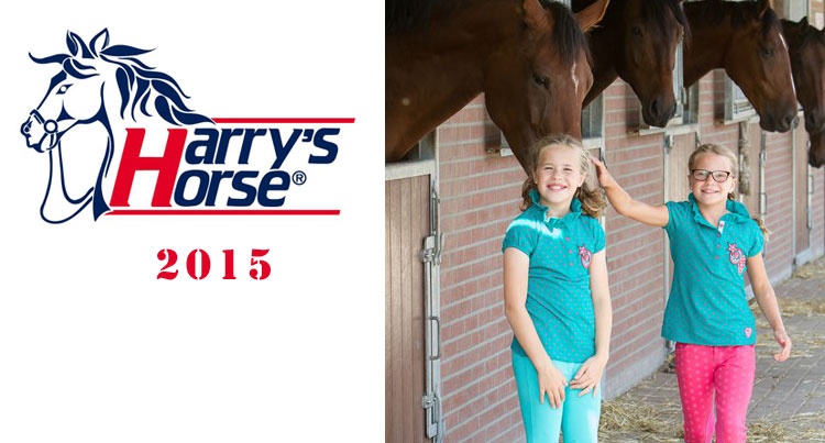 Harry's Horse summer 2015